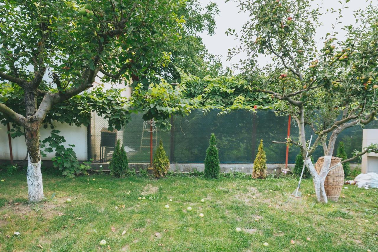 Casa Vinco Vici Hotel Torda Kültér fotó