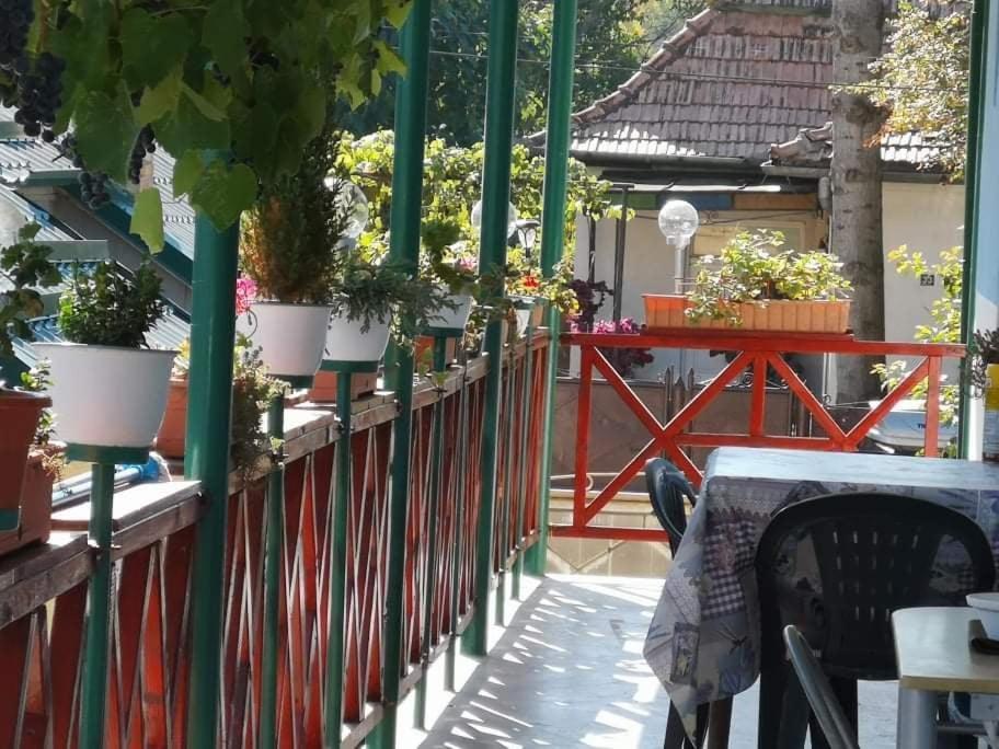 Casa Vinco Vici Hotel Torda Kültér fotó